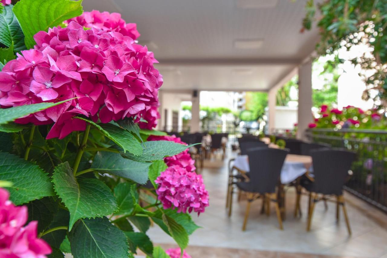 Hotel Suzana بودفا المظهر الخارجي الصورة